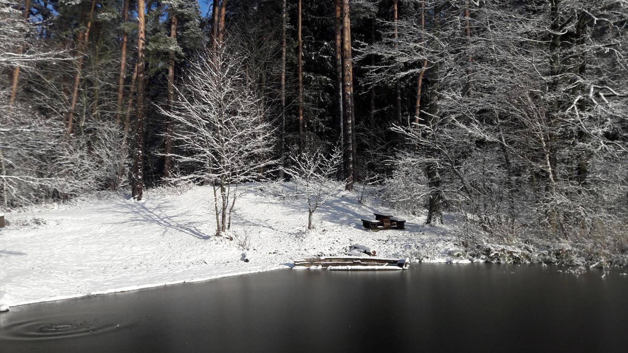 Apartamenty Jezioro I Las Mazury Powalczyn Eksteriør billede