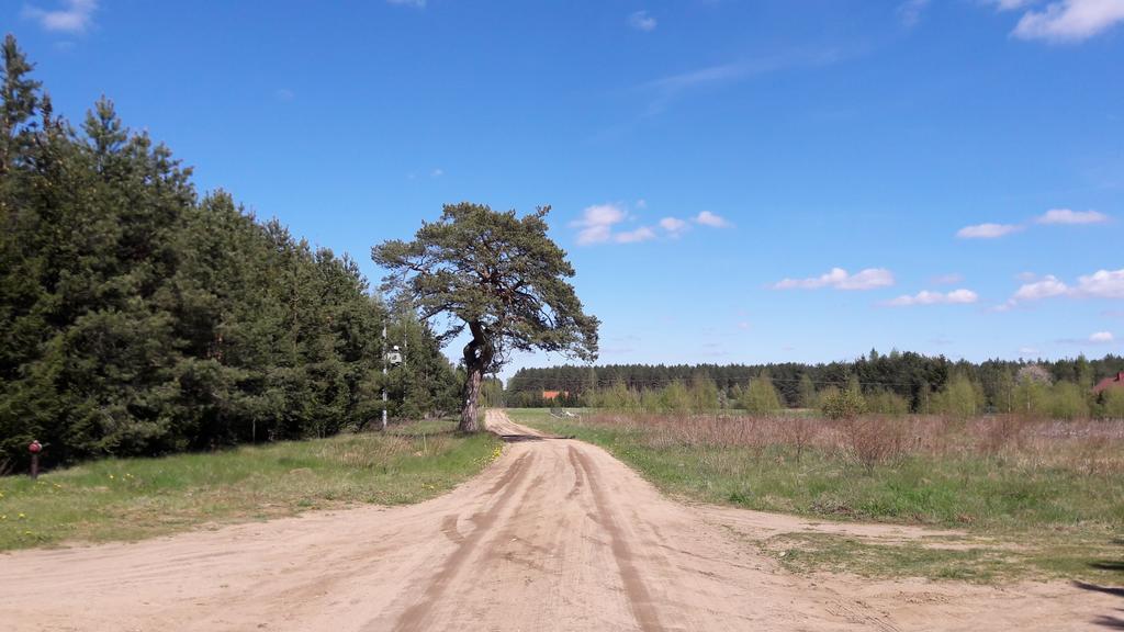 Apartamenty Jezioro I Las Mazury Powalczyn Eksteriør billede